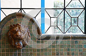 Scene of a faucet of a lion