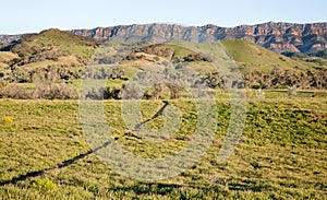 Scene in Flinders Ranges Australia