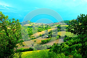 Scene in Force with fields, animals, trees, thickets, meadows, sky, clouds