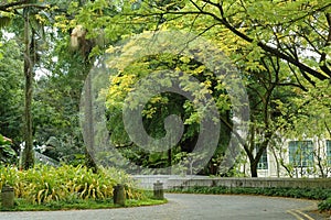 Scene - Fort Canning Hill