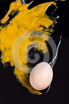 Fresh eggs and yolks