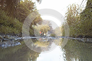 scene of gravel and overgrowth by the puddle bank.