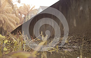 scene of gravel and overgrowth by the puddle bank.