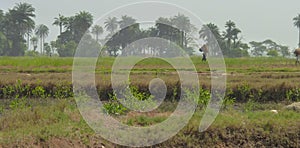 Scene from Guinea-Bissau photo