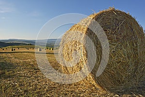 Scene with hay rolls on meadow