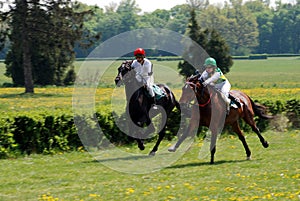 A scene of a horse race