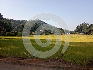 A scene from Indian village with vally and farming