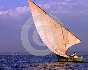 Scene from Kenya