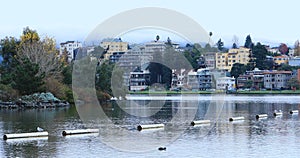 Scene from Lake Merritt, Oakland California