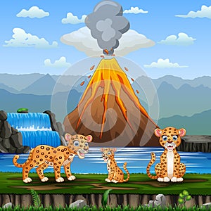 Scene with leopard family and volcano erupt