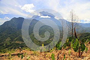 Scene of Mount Kinabalu
