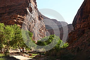 Scene of a narrow road deep in a canyon.