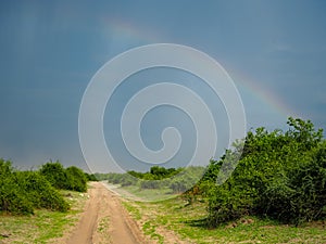 Scene of natural sand road through green savanna plain with soft