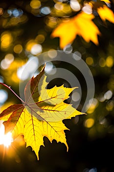 a scene of nature in autumn beauty greatness watercolor sharp focus studio photo generative ai