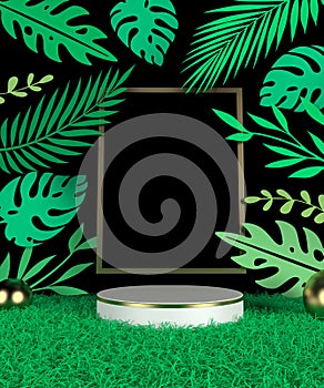 Scene podium display with green tropical leaf background Computer generated image