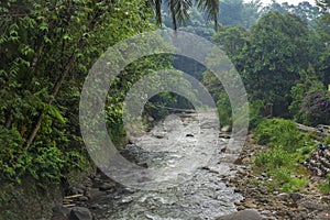 Water flows on the river wild