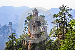 scene of rock mountain in Zhangjiajie National Forest Park,Hunan, China