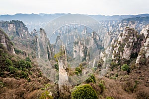 Scene of rock mountain in Zhangjiajie National Forest Park,Hunan