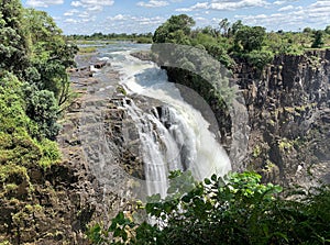 Scene from a safari in Victoria falls near Zambia and Zimbabwe