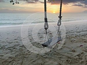 Scene of the singe rope tree swing at the seaside