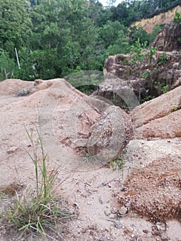 scene of the soil erosion landscape.