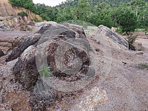 scene of the soil erosion landscape.