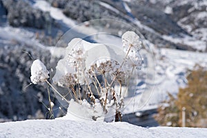 Scene of sunrise on the snowy mountain a day of beautiful sun.