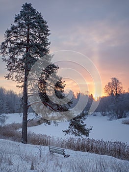 Scene of sunset or dawn in a winter forest with frosty bench on a clear frosty morning. Tree branches covered with snow and