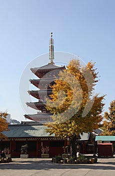 Scene from temple in Asakusa in Tokyo