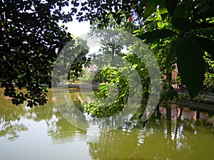 The scene of temples in the bank of a pond through peep of trees