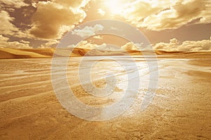 Scene of water landscape in the dunes of the Sahara Desert