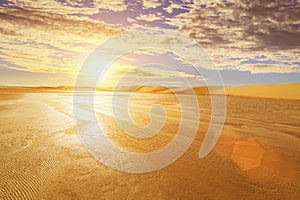 Scene of water landscape in the dunes of the Sahara Desert