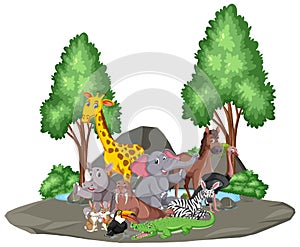 Scene with wild animals together by the pond