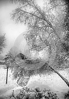A scene during winter blizzard