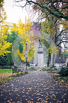 Scene of yellow autumn park in Portland downtown