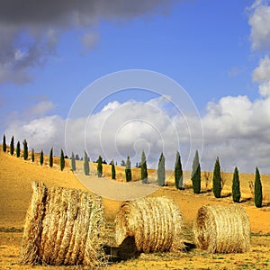 Scenec Tuscany. Italian landscapes