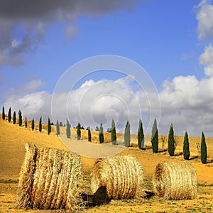 Scenec Tuscany. Italian landscapes photo