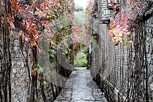 Scenery of alleys in the ancient water town.