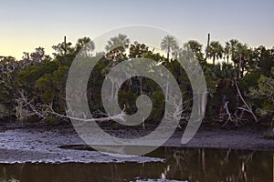 Scenery Along Florida`s Nature Coast