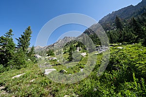 Scenery along the Lake Solitude and Cascade Canyon trail in Grand Teton National Park USA