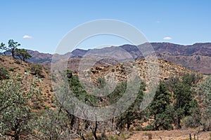 Scenery along the Parachilna Gorge Road in the Flinders Ranges National Park