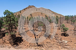 Scenery along the Parachilna Gorge Road in the Flinders Ranges National Park