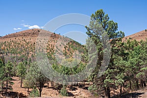 Scenery along the Parachilna Gorge Road in the Flinders Ranges National Park