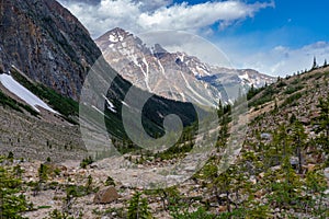 Scenery along the Path of the Glacier Trail, Mt. Edith Cavell in Jasper National Park Canada