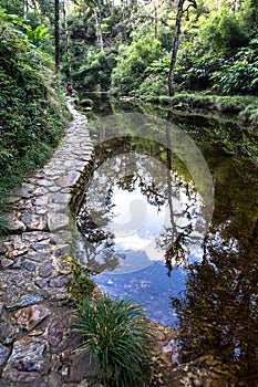 Scenery along way to Thac Tinh Yeu Waterfall which lies within Hoang Lien National Park near Sapa Vietnam Asia