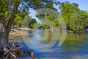 Landscape on Atauro photo