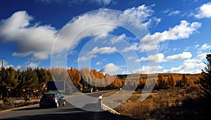 The scenery in autumn in Inner Mongolia