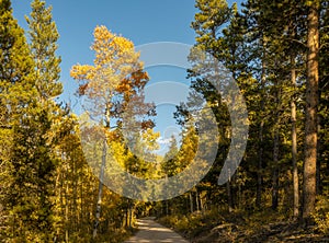 Scenery Autumn in the Rocky Mountains of Colorado - Kenosha Pass