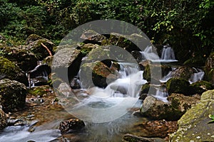 Scenery of the Back Hill of Qingcheng Mountain