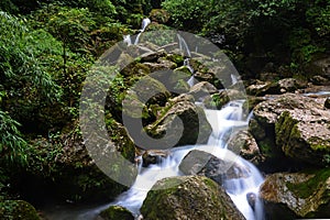 Scenery of the Back Hill of Qingcheng Mountain